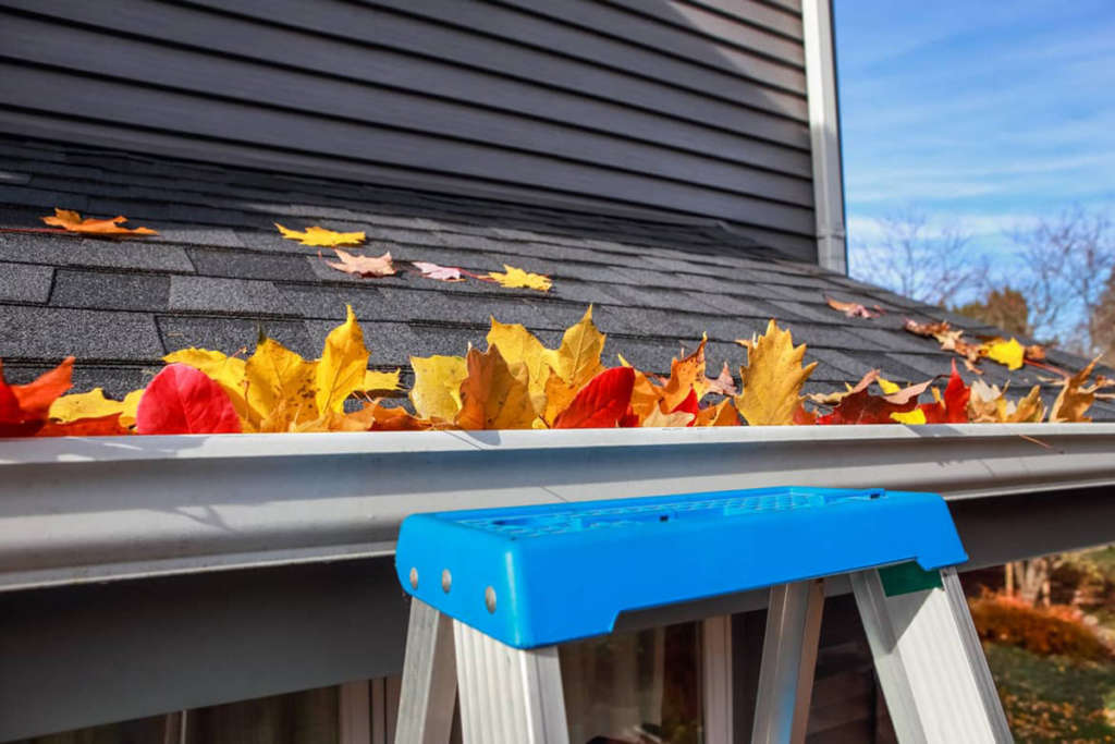 Gutter filled with different colored leaves